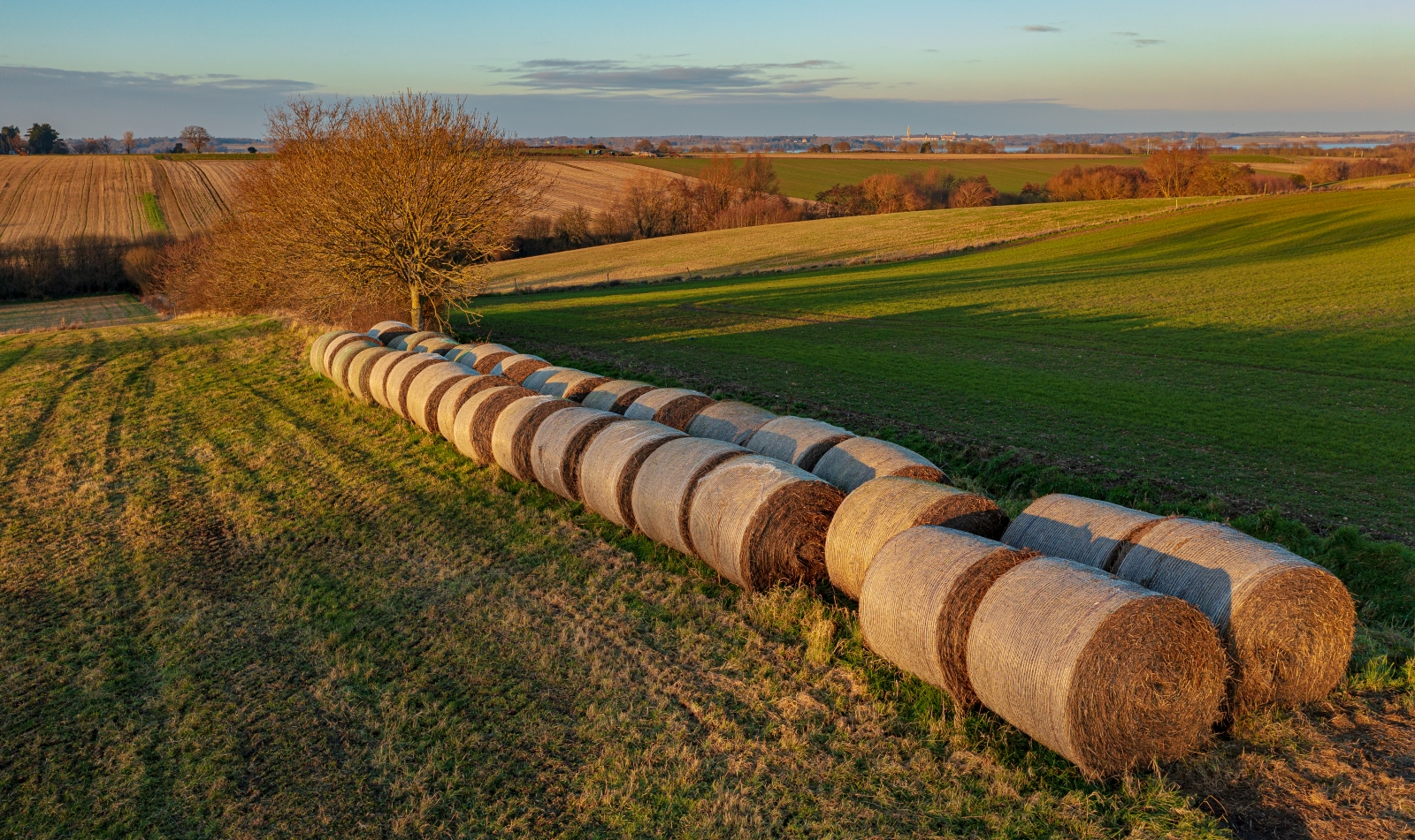 Hay Bales - Andy Soar.jpg